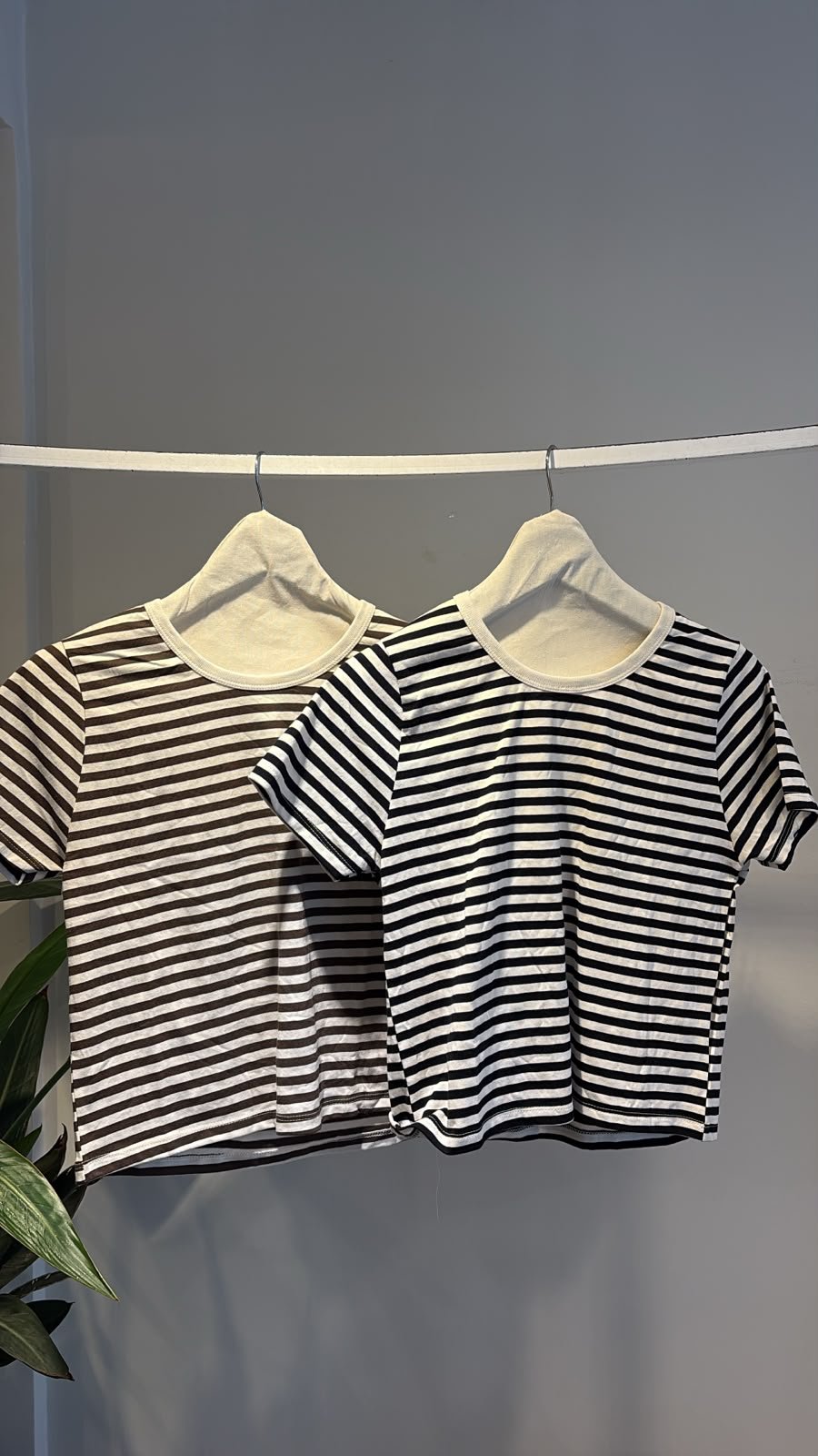 remera cebra